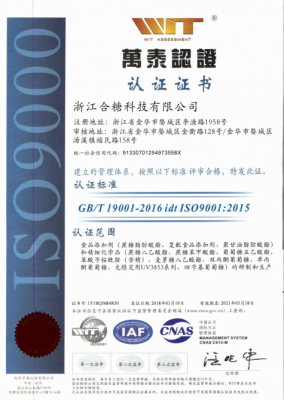 ISO9001 versión china